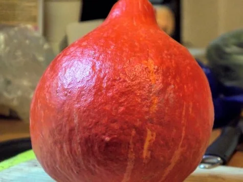 Rezept: Scharfe Tagliatelle mit Kürbis-Orangen-Tomaten-Sauce Bild Nr. 5 Scharfe Tagliatelle mit Kürbis-Orangen-Tomaten-Sauce - Rezept - Bild Nr. 5