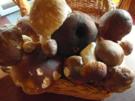 Pilzrahmsüppchen von frischen Waldpilzen - Rezept