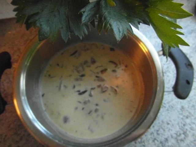 Pilzrahmsüppchen von frischen Waldpilzen - Rezept - Bild Nr. 2