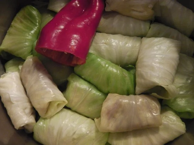 ungarische Krautrouladen / Kohlrouladen in Tomatensoße (Töltött káposzta) - Rezept - Bild Nr. 7