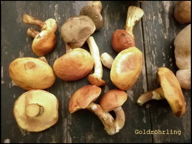 Pilzliwanzen mit Hexensoße - Rezept - Bild Nr. 2