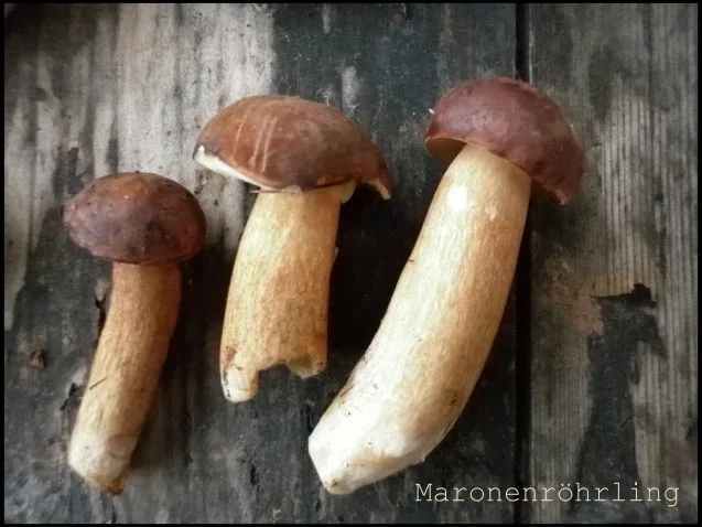 Pilzliwanzen mit Hexensoße - Rezept - Bild Nr. 3