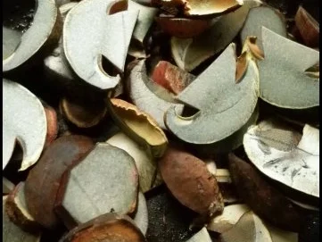 Pilzliwanzen mit Hexensoße - Rezept - Bild Nr. 7