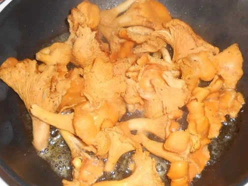 Rezept: Gebratene Pfifferlinge auf buntem Romanasalat Bild Nr. 4 Gebratene Pfifferlinge auf buntem Romanasalat - Rezept - Bild Nr. 4