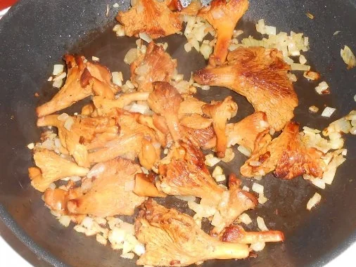 Rezept: Gebratene Pfifferlinge auf buntem Romanasalat Bild Nr. 6 Gebratene Pfifferlinge auf buntem Romanasalat - Rezept - Bild Nr. 6