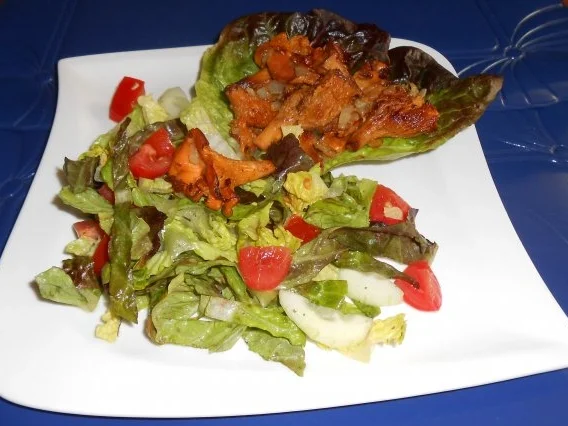 Rezept: Gebratene Pfifferlinge auf buntem Romanasalat Bild Nr. 14 Gebratene Pfifferlinge auf buntem Romanasalat - Rezept - Bild Nr. 14