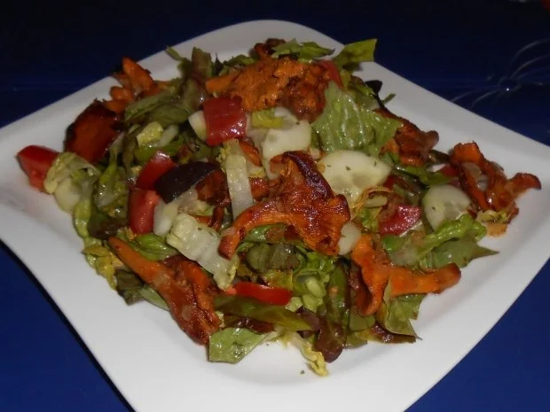 Rezept: Gebratene Pfifferlinge auf buntem Romanasalat Bild Nr. 16 Gebratene Pfifferlinge auf buntem Romanasalat - Rezept - Bild Nr. 16