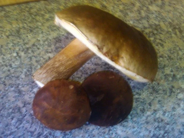 Rezept: Spaghetti mit Steinpilz-Maronen-Marsala-Sauce Bild Nr. 2 Spaghetti mit Steinpilz-Maronen-Marsala-Sauce - Rezept - Bild Nr. 2