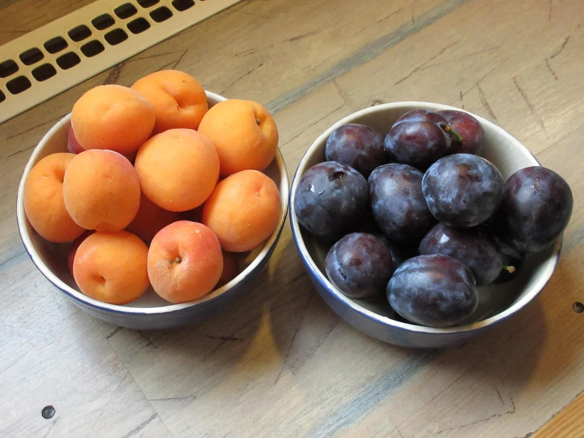 Rezept: Marillen- oder Zwetschkenfleck Bild Nr. 6 Marillen- oder Zwetschkenfleck - Rezept - Bild Nr. 6