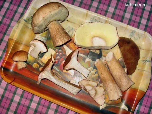 Rezept: Omeletts pikant Bild Nr. 2 Omeletts pikant - Rezept - Bild Nr. 2