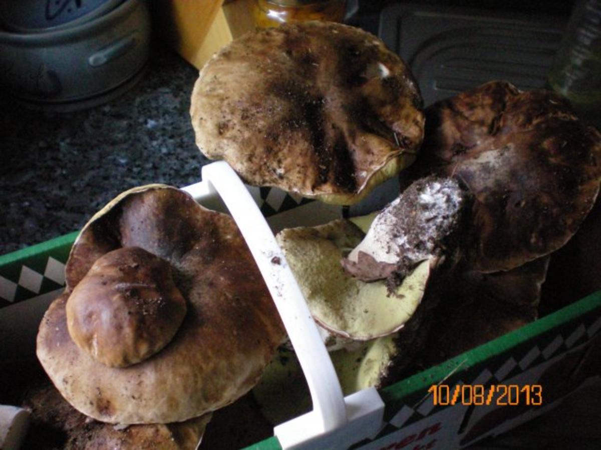 Steinpilz Wildschwein Rahmgulasch - von Sunnywhity