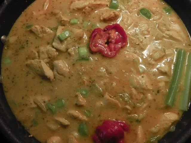Höhlenfeuer Hühnerfrikassee auf "Thai-curry" Art - Rezept - Bild Nr. 5