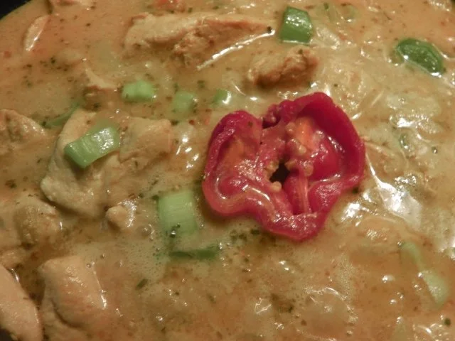 Höhlenfeuer Hühnerfrikassee auf "Thai-curry" Art - Rezept - Bild Nr. 6