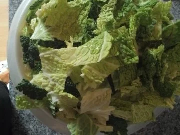 Wirsingeintopf mit Mettwurst - Rezept - Bild Nr. 2