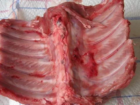 Sauce für Wildschweinbraten - Rezept - Bild Nr. 6