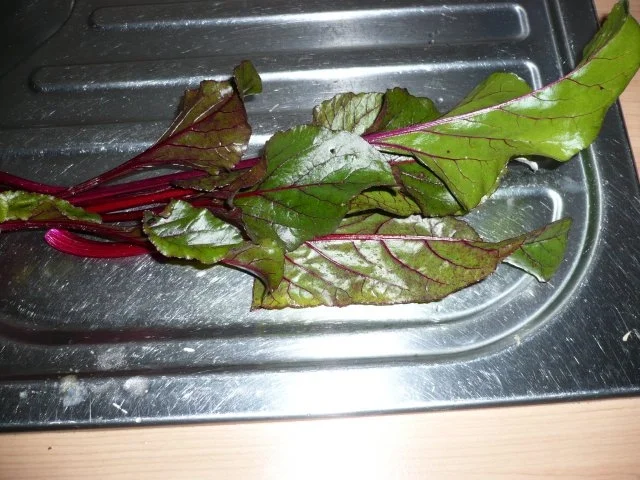 Rezept: Rote - Bete - Suppe Bild Nr. 8 Rote - Bete - Suppe - Rezept - Bild Nr. 8