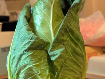 Spitzkohl-Auflauf - Rezept - Bild Nr. 2