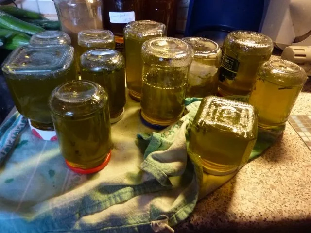 Rezept: Marmelade: Minzgelee mit Ingwer Bild Nr. 12 Marmelade: Minzgelee mit Ingwer - Rezept - Bild Nr. 12