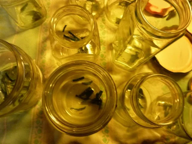 Rezept: Marmelade: Minzgelee mit Ingwer Bild Nr. 11 Marmelade: Minzgelee mit Ingwer - Rezept - Bild Nr. 11