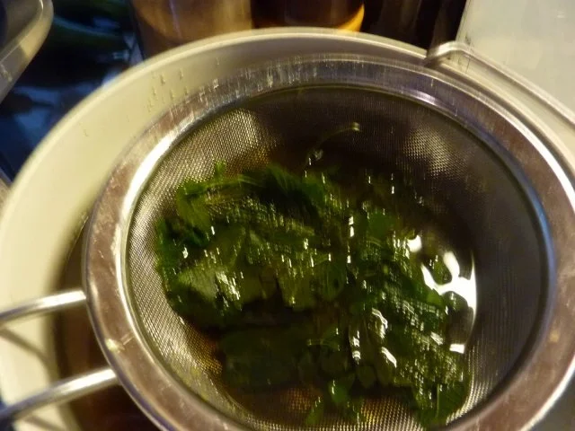 Rezept: Marmelade: Minzgelee mit Ingwer Bild Nr. 6 Marmelade: Minzgelee mit Ingwer - Rezept - Bild Nr. 6