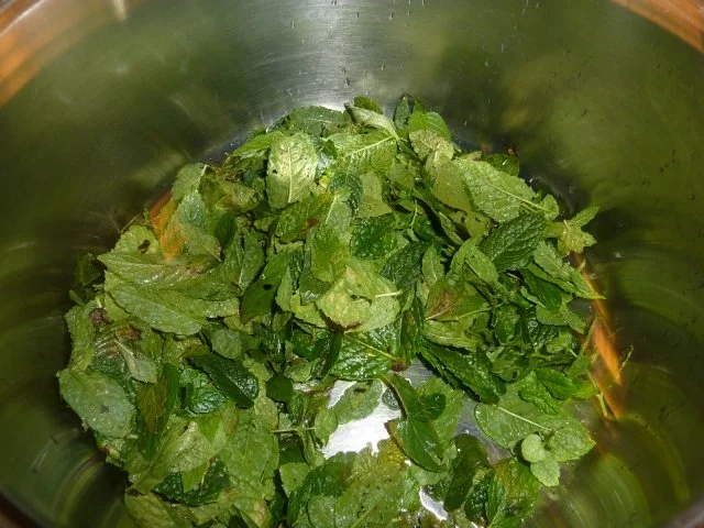 Rezept: Marmelade: Minzgelee mit Ingwer Bild Nr. 2 Marmelade: Minzgelee mit Ingwer - Rezept - Bild Nr. 2