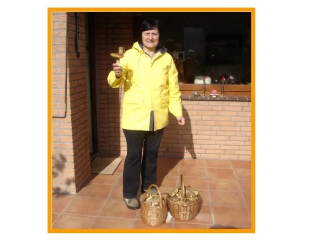 Rezept: Waldpilzsauce mit Semmelknödel Bild Nr. 2 Waldpilzsauce mit Semmelknödel - Rezept - Bild Nr. 2