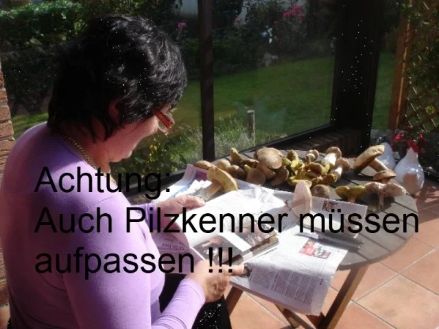 Rezept: Waldpilzsauce mit Semmelknödel Bild Nr. 5 Waldpilzsauce mit Semmelknödel - Rezept - Bild Nr. 5