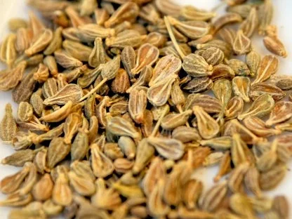 Aniscreme mit Ouzo-Aprikosen - Rezept - Bild Nr. 5