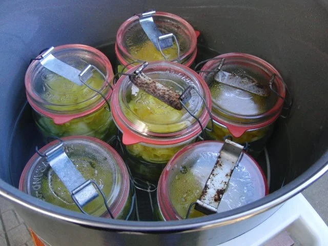 EINKOCHEN: CURRY- GURKEN - Rezept - Bild Nr. 6