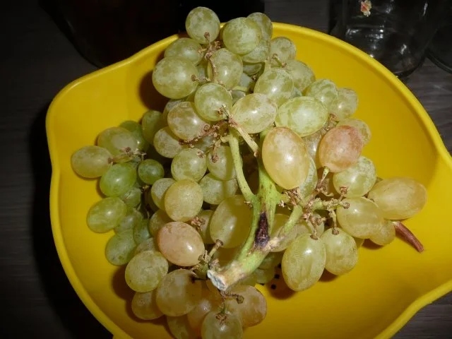 Traubengelee - Rezept - Bild Nr. 2