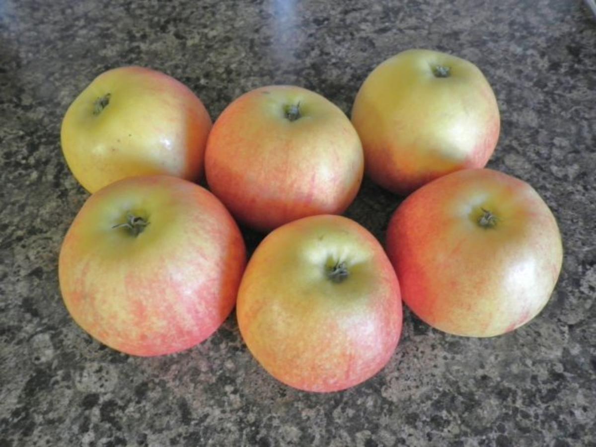 Apfelkuchen mit Zimt - Schmandguss - Rezept - Bild Nr. 6