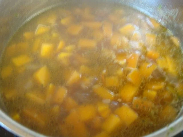 Rezept: einfache Kürbissuppe nach "SuppenGeniesser Art" Bild Nr. 7 einfache Kürbissuppe nach "SuppenGeniesser Art" - Rezept - Bild Nr. 7