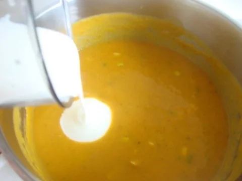 Rezept: einfache Kürbissuppe nach "SuppenGeniesser Art" Bild Nr. 15 einfache Kürbissuppe nach "SuppenGeniesser Art" - Rezept - Bild Nr. 15