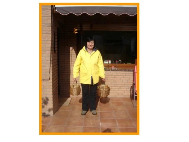 Rezept: Waldpilze auf Kürbiskernbrot Bild Nr. 2 Waldpilze auf Kürbiskernbrot - Rezept - Bild Nr. 2