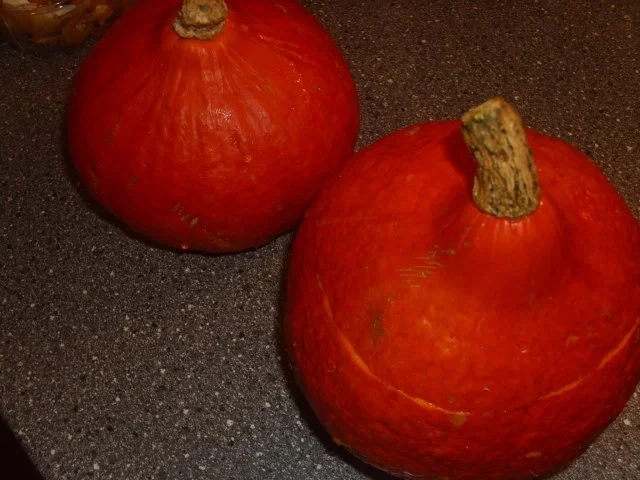 Rezept: Hokkaido gefüllt mit Pilz-Gulasch Bild Nr. 4 Hokkaido gefüllt mit Pilz-Gulasch - Rezept - Bild Nr. 4