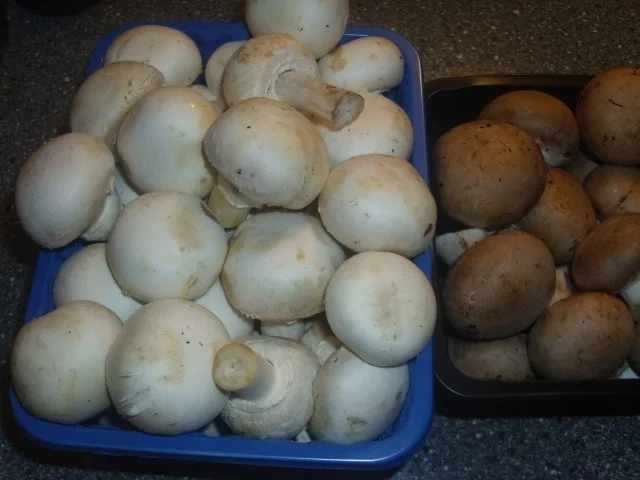 Rezept: Hokkaido gefüllt mit Pilz-Gulasch Bild Nr. 7 Hokkaido gefüllt mit Pilz-Gulasch - Rezept - Bild Nr. 7