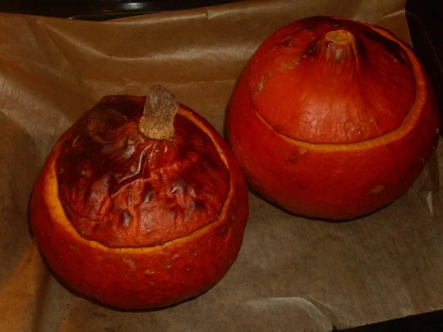 Rezept: Hokkaido gefüllt mit Pilz-Gulasch Bild Nr. 10 Hokkaido gefüllt mit Pilz-Gulasch - Rezept - Bild Nr. 10