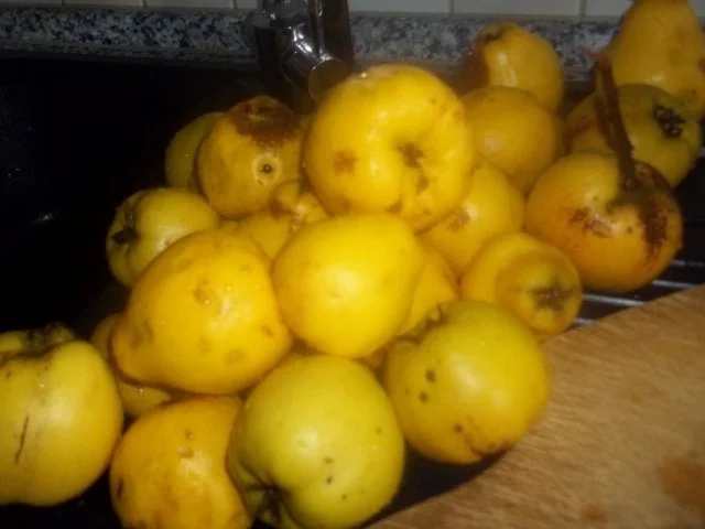 Quittenkompott - Rezept - Bild Nr. 2