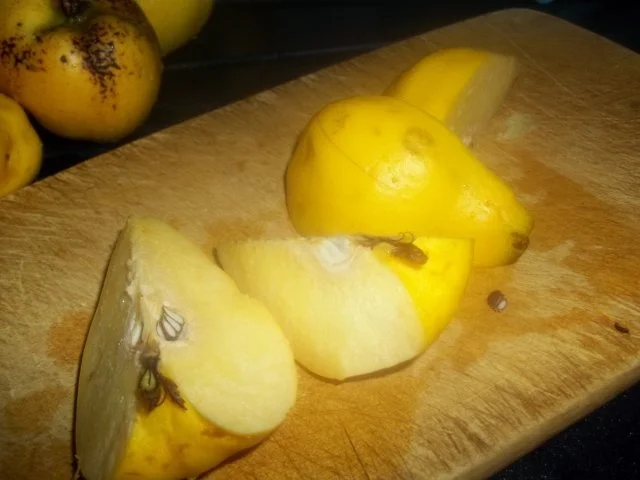 Rezept: Quittensaft Bild Nr. 3 Quittensaft - Rezept - Bild Nr. 3