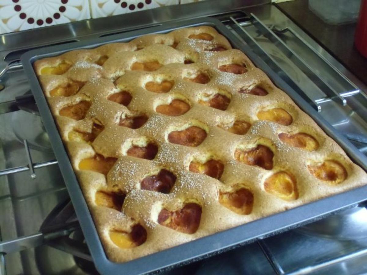 MARILLENKUCHEN mit Eier und Kristallzucker - Rezept mit Bild - kochbar.de
