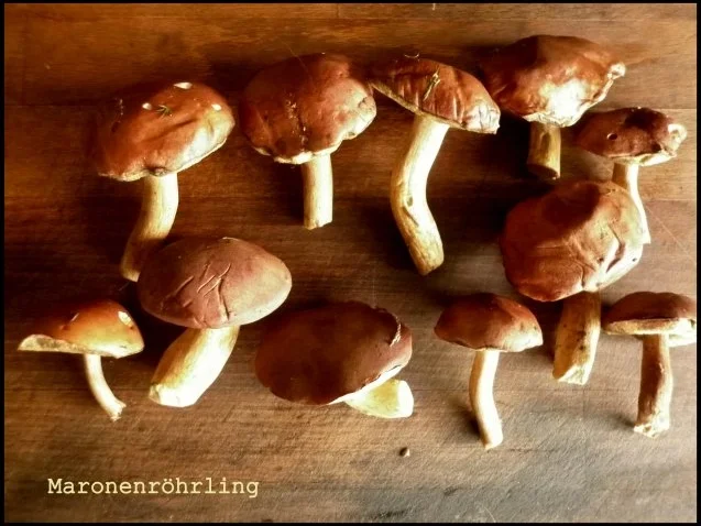 Rezept: Kartoffelköße mit Pilzfüllung, gebratenen Äpfeln und Hexensoße Bild Nr. 2 Kartoffelköße mit Pilzfüllung, gebratenen Äpfeln und Hexensoße - Rezept - Bild Nr. 2