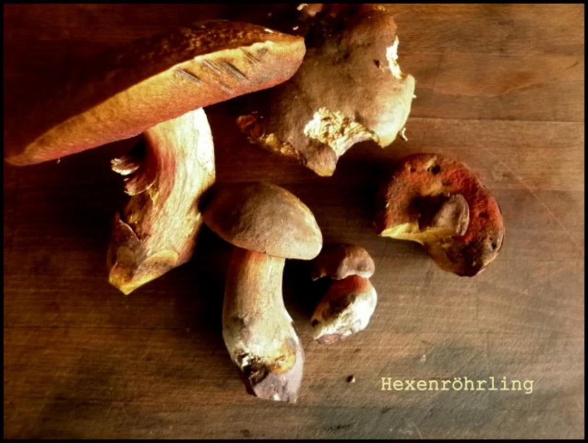 Kartoffelköße mit Pilzfüllung, gebratenen Äpfeln und Hexensoße - Rezept - Bild Nr. 11