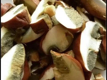 Rezept: Kartoffelköße mit Pilzfüllung, gebratenen Äpfeln und Hexensoße Bild Nr. 3 Kartoffelköße mit Pilzfüllung, gebratenen Äpfeln und Hexensoße - Rezept - Bild Nr. 3