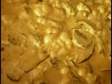 Rezept: Kartoffelköße mit Pilzfüllung, gebratenen Äpfeln und Hexensoße Bild Nr. 10 Kartoffelköße mit Pilzfüllung, gebratenen Äpfeln und Hexensoße - Rezept - Bild Nr. 10