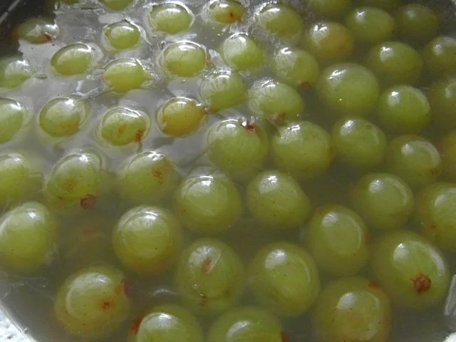 Rezept: " Weintrauben-Wackelpeter " " Weintrauben-Wackelpeter " - Rezept