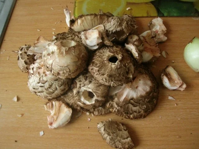 Rezept: Nudeln in Pilzrahmsauce Bild Nr. 6 Nudeln in Pilzrahmsauce - Rezept - Bild Nr. 6