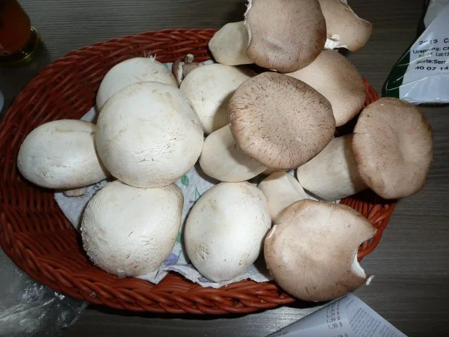 Pilze mit Knödel - Rezept - Bild Nr. 7