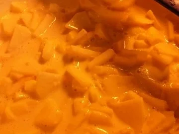 Apfel-Mohn-Cranberrie-Pfannkuchen - Rezept - Bild Nr. 6