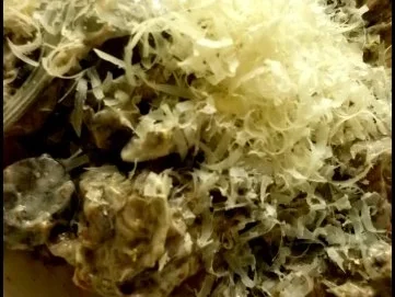 Offene Pilzlasagne mit Hohlfüßen und Maronen - Rezept - Bild Nr. 6