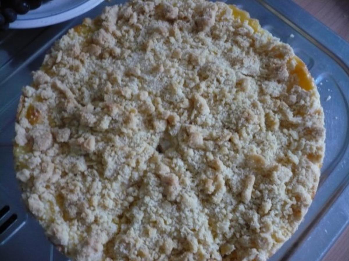 Apfel Pudding Streusel Kuchen - einfach - von rollimops